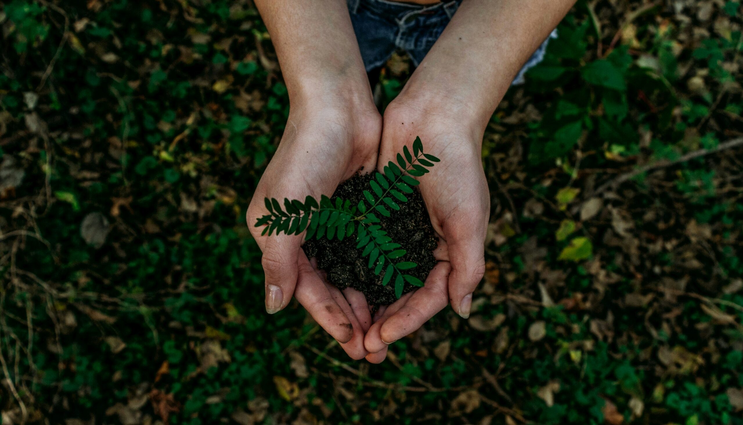Understanding Sustainability in Manufacturing: An Introductory Guide